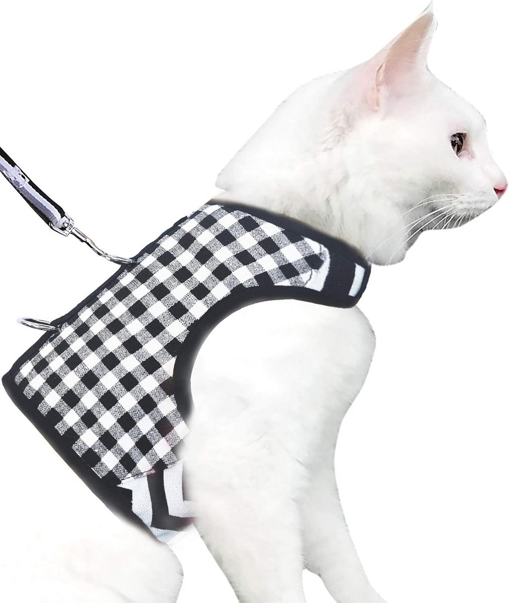 Ontsnappingsbestendig kitten harnas met riem - verstelbaar en gewatteerd