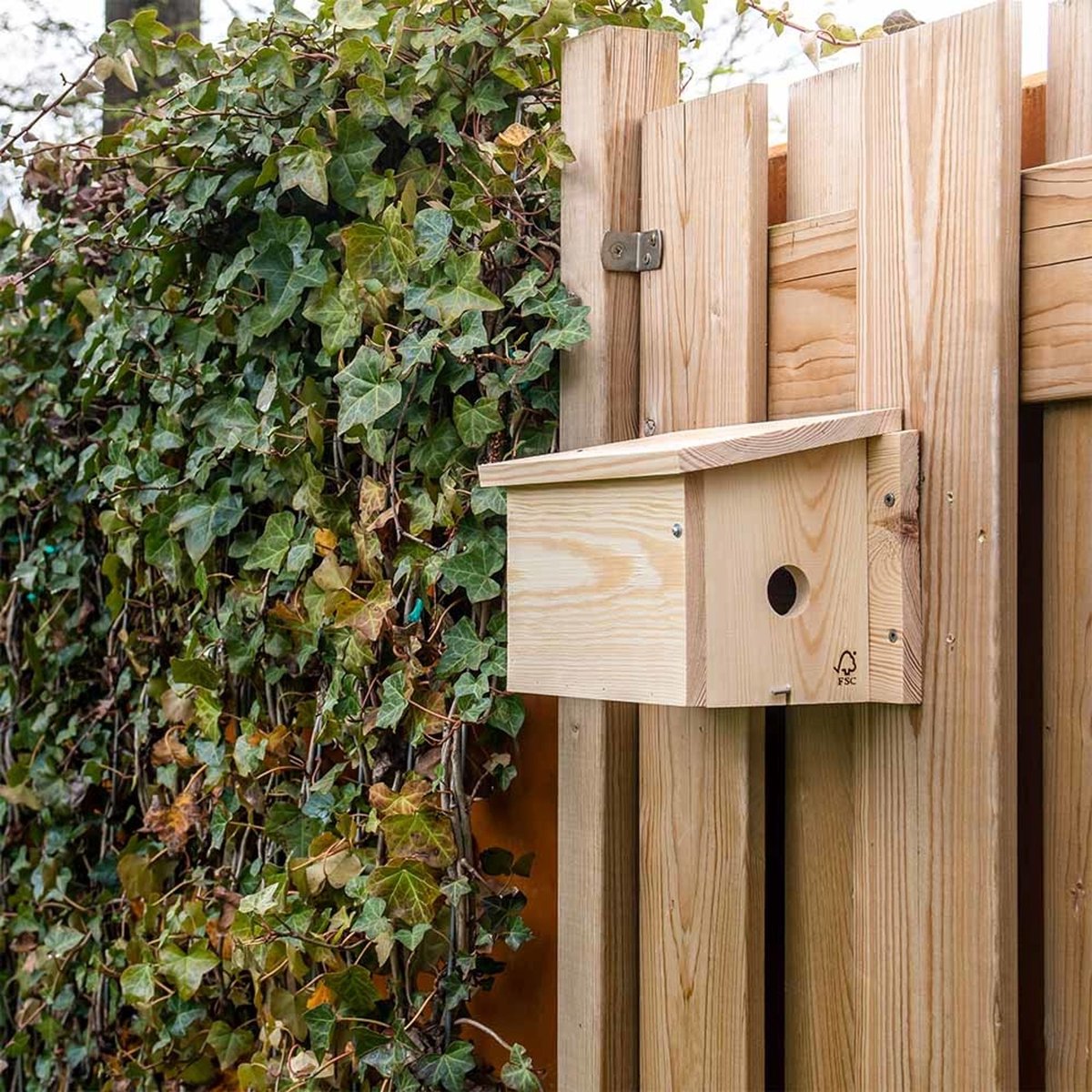 CJ Wildlife Systeem Nestkast - Aanbevolen door de Vogelbescherming Nederland - Rechts - 34mm - Nestkastje voor o.a. Koolmees, Boomklevers & Mussen - Houten Vogelhuisje