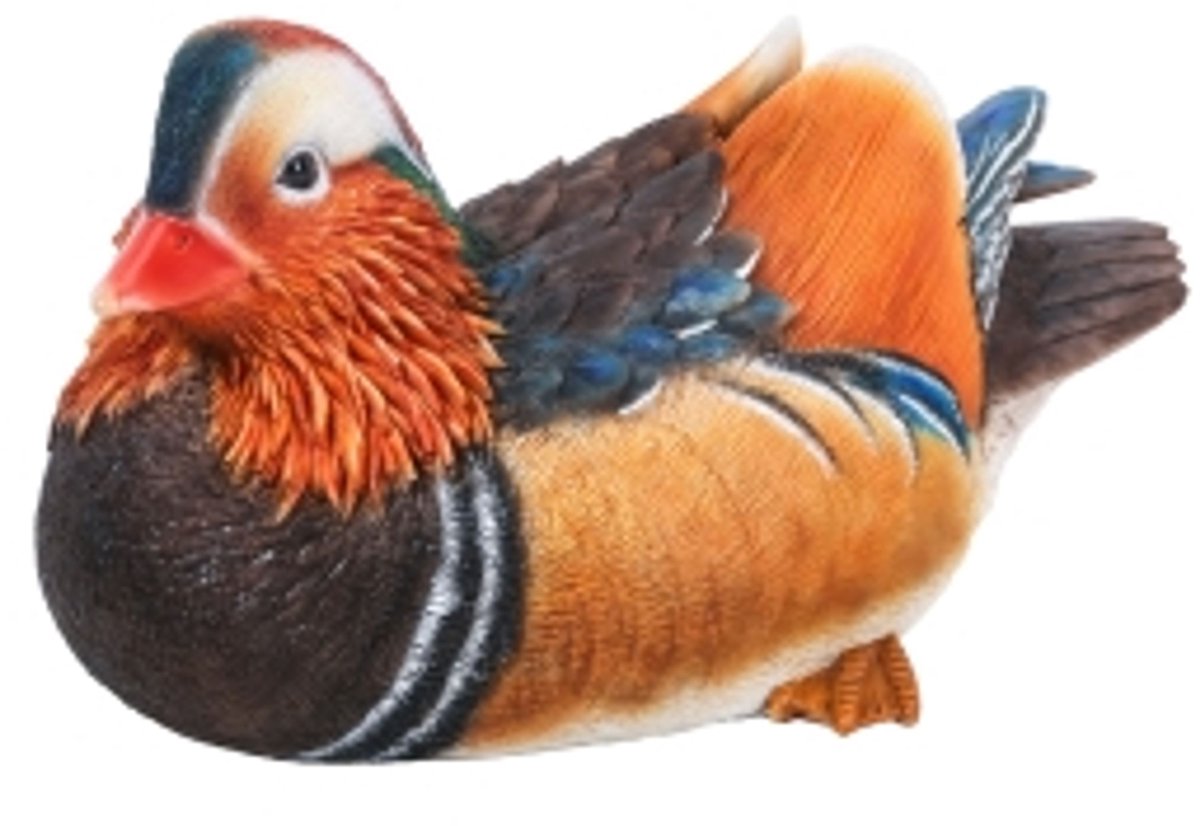 HotAnt Tuinbeeld dieren - Zittende mannelijke eend (Polystone) - Voor buiten - Tuin decoratie - Cadeau