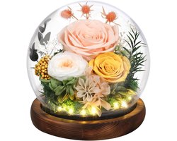Provento - Eeuwige Roos Cadeaus voor Moeder - Bewaarde Echte Roos in Glazen Koepel met LED-licht - Bloemen Bezorgen Prime - Geschenken voor Vrouwen Vrouw Haar op Verjaardag Jubileum - Champagnekleurige details