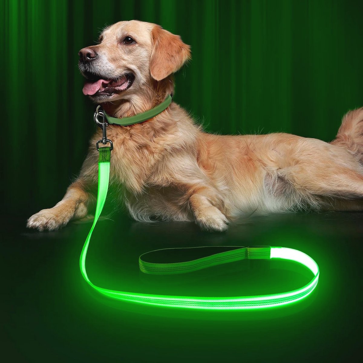 Oplaadbare LED Hondenriem met Reflecterende Draden - Nylon Singelband 120 cm