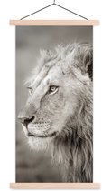 Porte-affiche avec affiche - Affiche scolaire - Lion - Animaux sauvages - Zwart - 40x80 cm - Lattes vierges