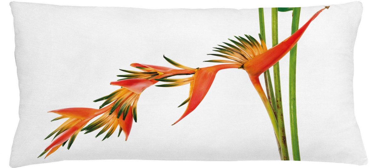 ABAKUHAUS Bloemen Kussenhoes, Exotische Bloem Ast, Wasbare Sierkussenhoes voor Binnen/Buiten, Dubbelzijdige Print met Ritssluiting, 90 x 40 cm, Oranje Groen