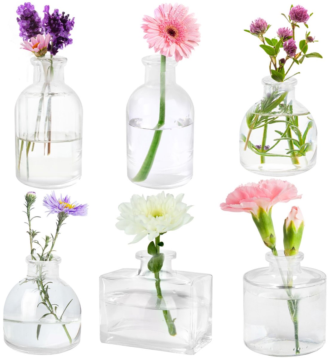 IMPERATORIS® Glazen Vazen / Glazen Flessen – Mini Decoratieve Vaas Flesjes – Helder Glas – Inclusief Strik – 6 Stuks – 17 x 9 x 25 cm – Transparant