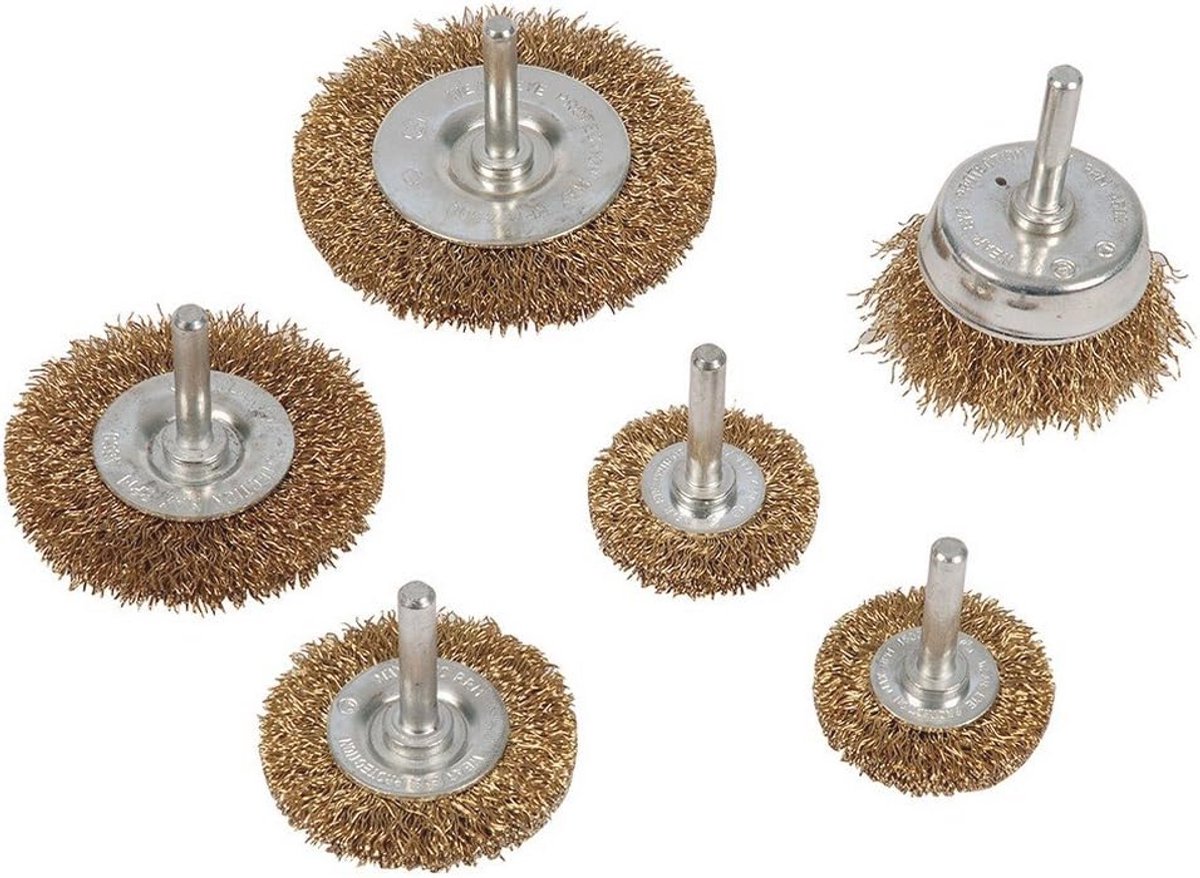 Set van 6 platte en paar borstelset met ijzeren borstels