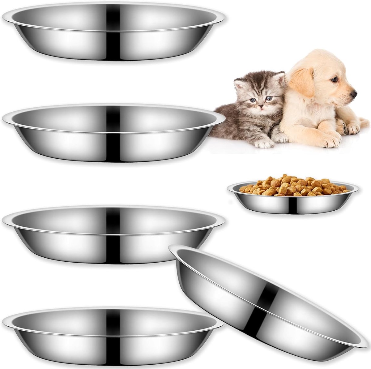 Daity Set van 4 kattenvoerbakken - 15,5 cm roestvrijstalen voerbakken, geschikt voor binnenkatten, ondiepe en brede bak voor natvoer, ribbels om vermoeidheid tijdens het eten te verlichten, geschikt voor kittens en puppy's (zilver)