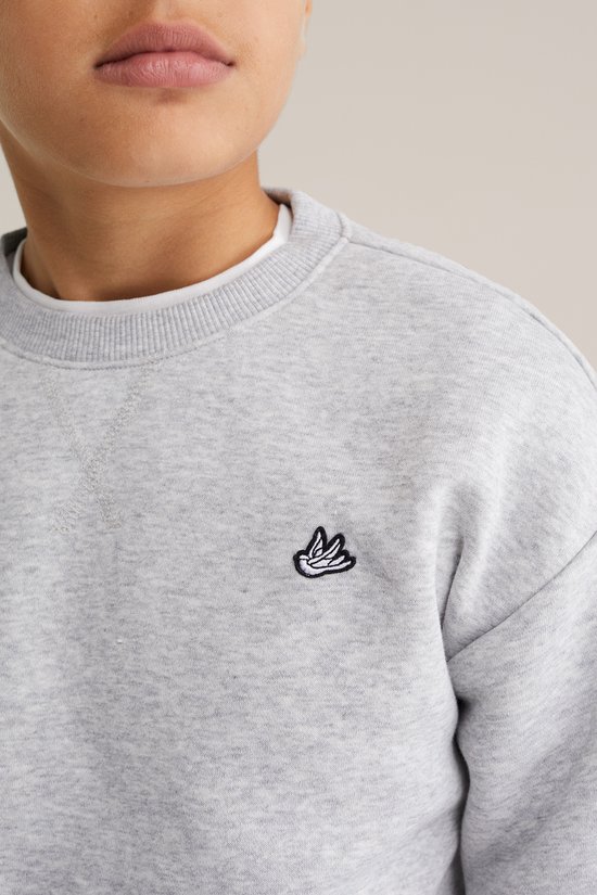 WE Fashion Jongens regular fit sweater