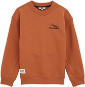 WE Fashion Jongens sweater met print
