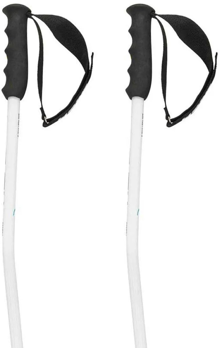 Head Worldcup Sg Stokken 125 cm Zwart