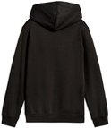 Zwarte hoodie met capuchon, van de achterkant gezien.