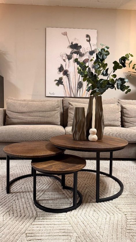 IronWood de table basse IronWood Triole - Set de 3 - Bois de manguier - Rond