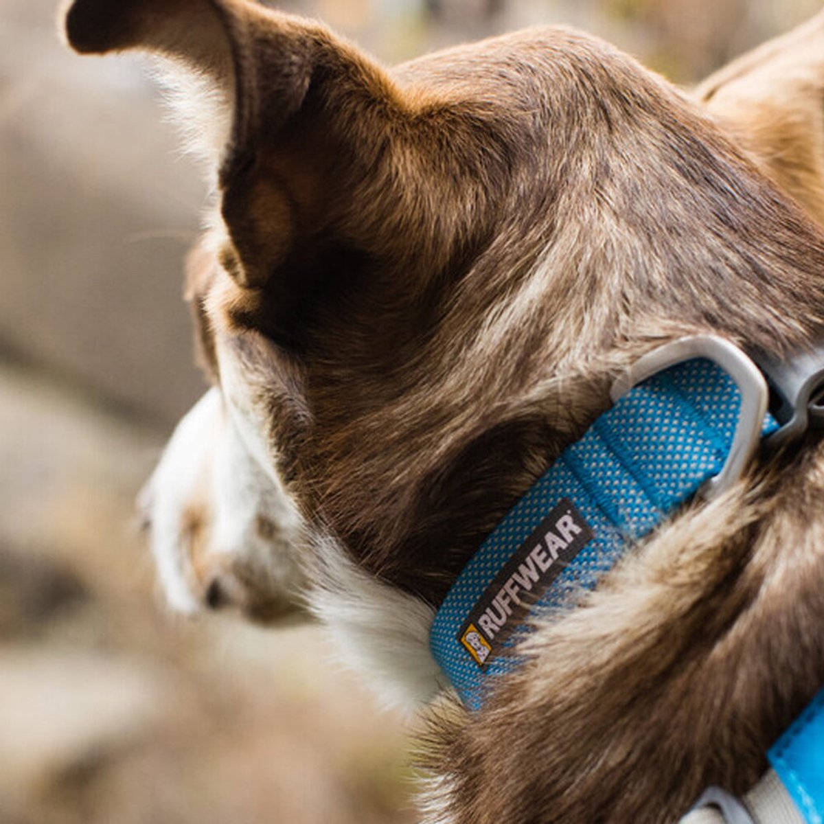 Ruffwear Hi & Light Collar - Basalt Gray - 51-66 cm