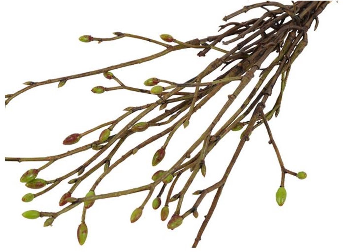 Countryfield Kunst bundel Tilia 3x groen H42cm