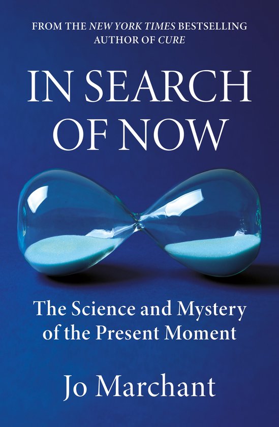 In Search of Now - cover