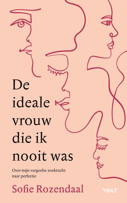 De ideale vrouw die ik nooit was - cover