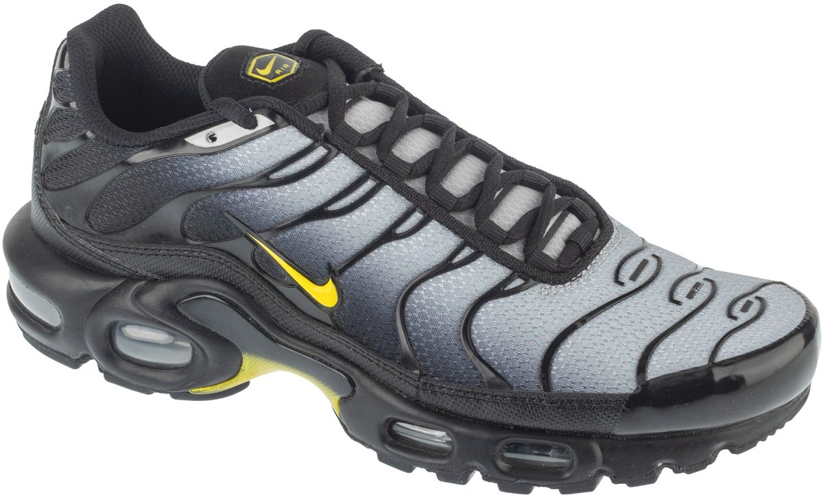 Nike Air Max Plus Mannen Sneakers Grijs