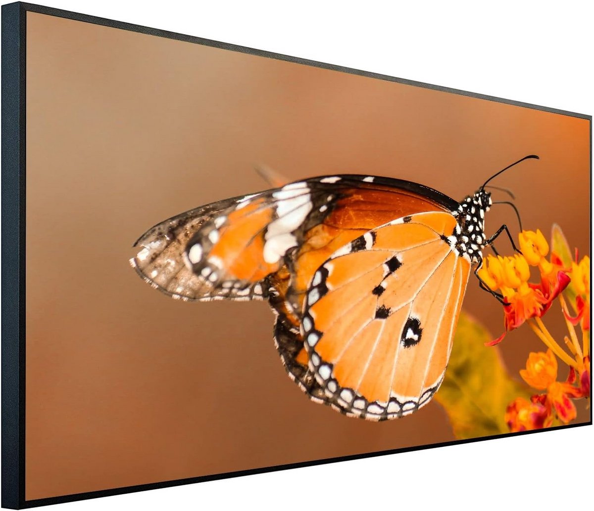 Infrarood Paneel met Afbeelding 750W - 60x100cm - Energiezuinige Verwarming