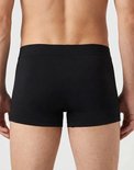 Achterkant van een zwarte boxer, zichtbaar vanaf de rug.