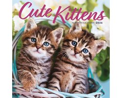 Schattige Kittens Kalender 2026