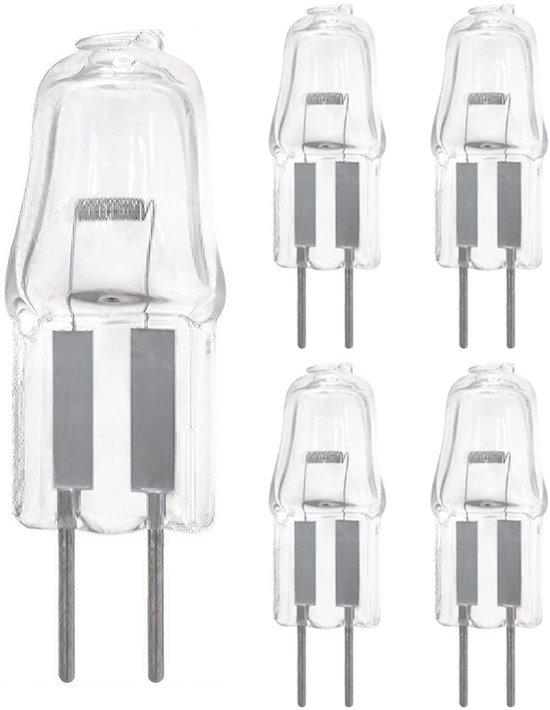Set van vijf G4 halogeenlampjes, één grote en vier kleine.