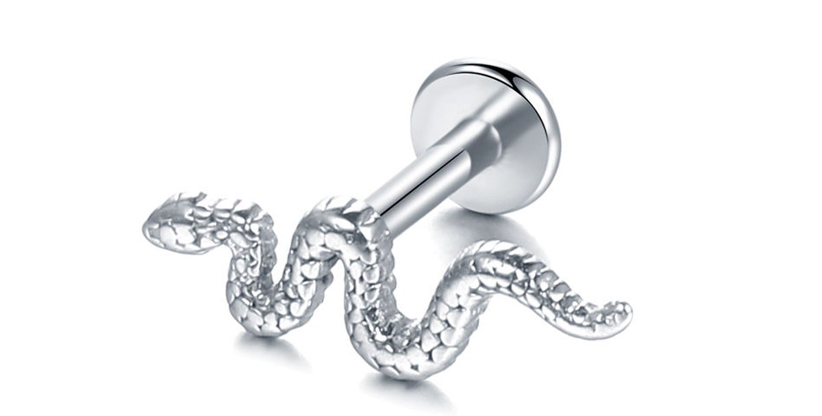 WeLoveSilver - piercing slangdesign - chirurgisch staal - zilver - 6x6x3