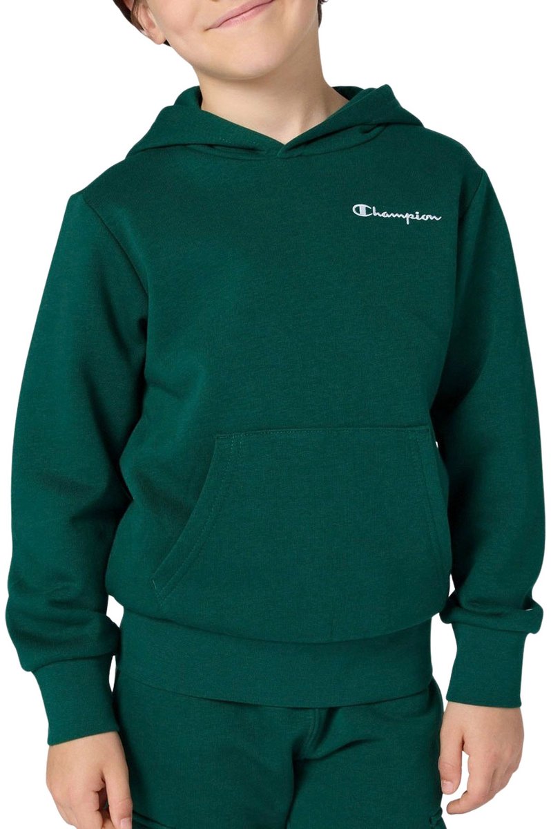 Champion Icons Small Logo Hoodie Junior - Maat S