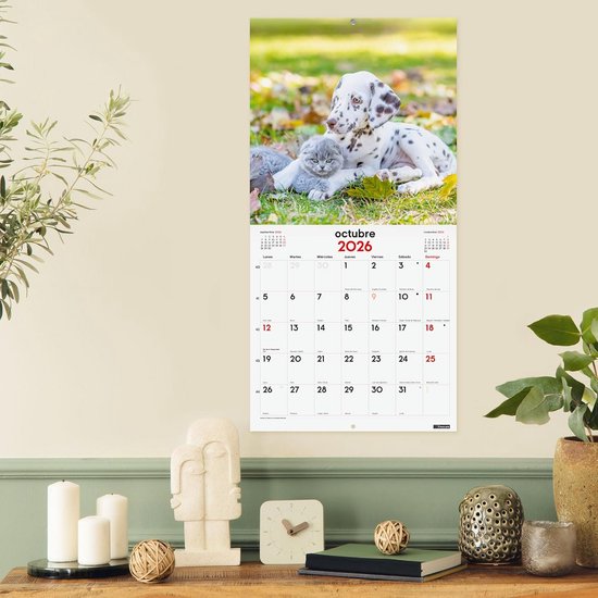 Calendario de Pared 2025 Finocam Traveling 30 x 30 cm | Office Depot Mexico