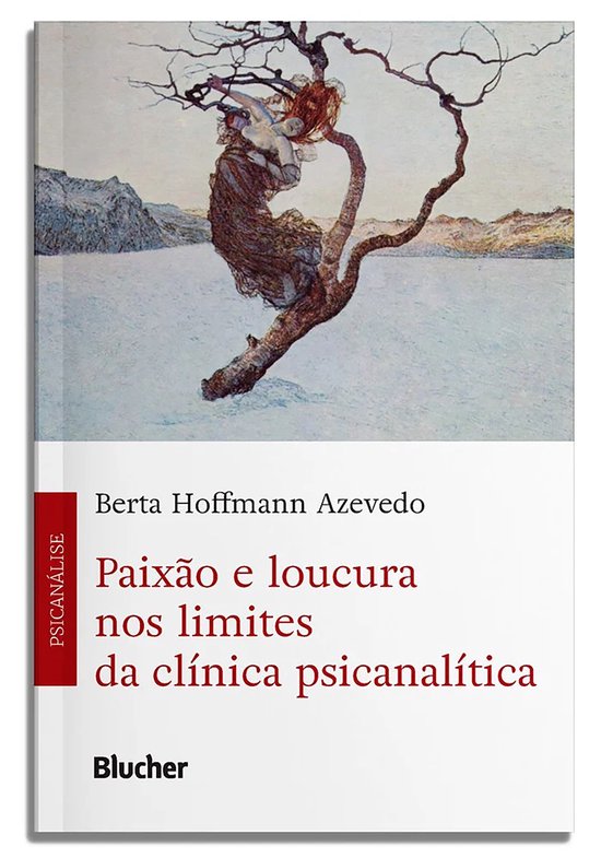 Paixão e loucura nos limites da clínica psicanalítica - cover