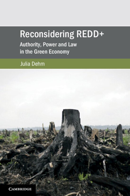 Cambridge Studies on Environment, Energy and Natural Resourc ... - cover