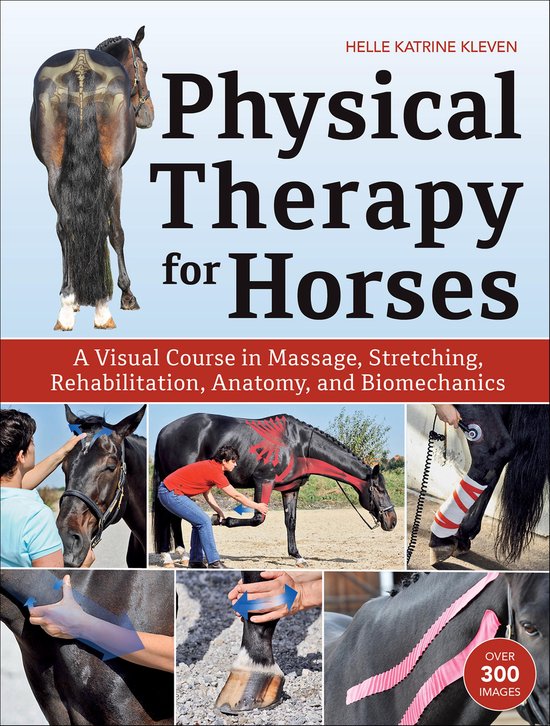 Physical Therapy for Horses - cover