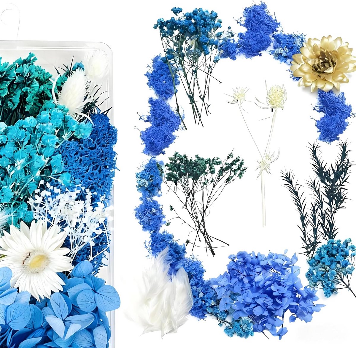 Gedroogde Bloemen voor Nagels, Kaarsen en Handwerk – Natuurlijke Bloemen in Blauw voor Scrapbooking en Decoratie