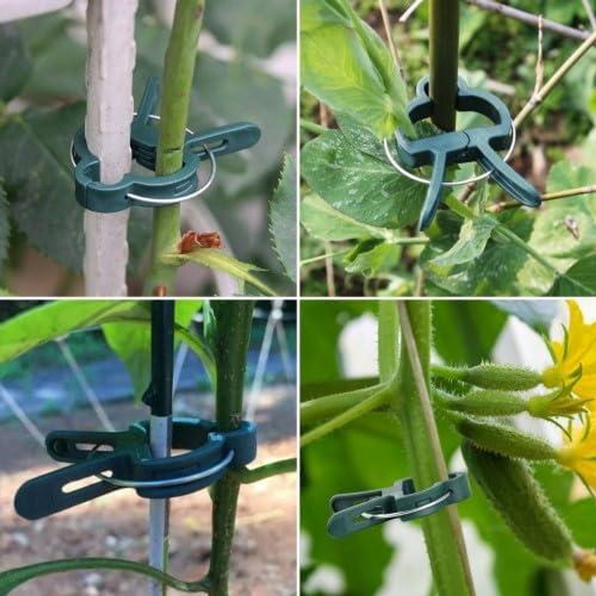 Ronte - Multifunctionele tuinieren plantenklemmen en plantenclips, groot formaat, bloemenklemmen, plantenhouder voor klimplanten - Set van 40 stuks