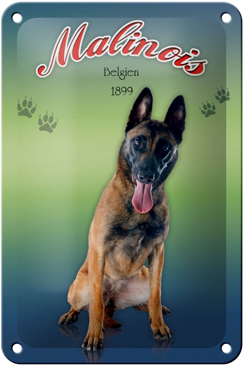 Blechschild Hund 12x18cm Malinois Belgien 1899