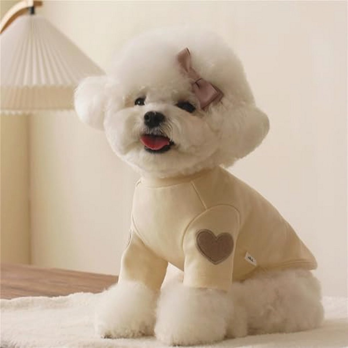 Hond Sweatshirt voor Kleine en Medium Honden met Hartprint - Comfortabele Huisdier Outfit — cadeau in Cadeau-ideeën - foto 5