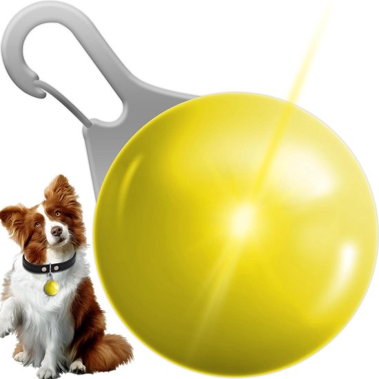 Lichtgevend hondenharnas met oplaadbare led - waterdicht reflecterend hondenharnas Glow in the Dark - knipperend harnas voor puppy's en kleine tot middelgrote honden die in het licht wandelen