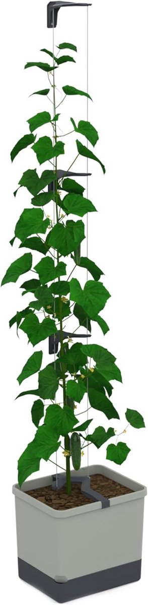 GUSTA GARDEN Curt Cucumber - Zelfbewaterende komkommerpot met trellissysteem, 20L grondvolume & 4,5L watertank, klimhulp, komkommers, UV-gestabiliseerd, Gemaakt in de EU