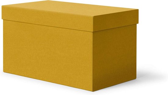 Decoratieve opbergdoos met deksel voor in de kast of kamer - 45x25x25