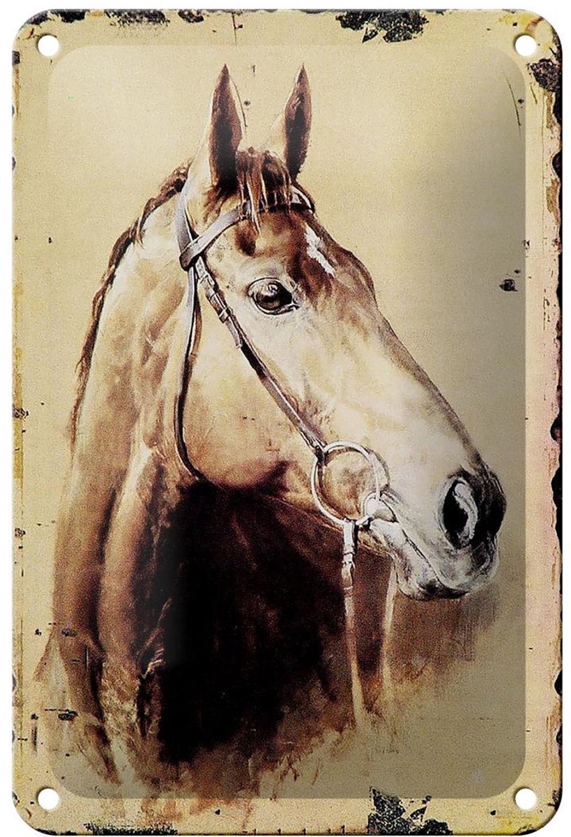 Blechschild Retro 12x18cm Portrait Pferd Kopf