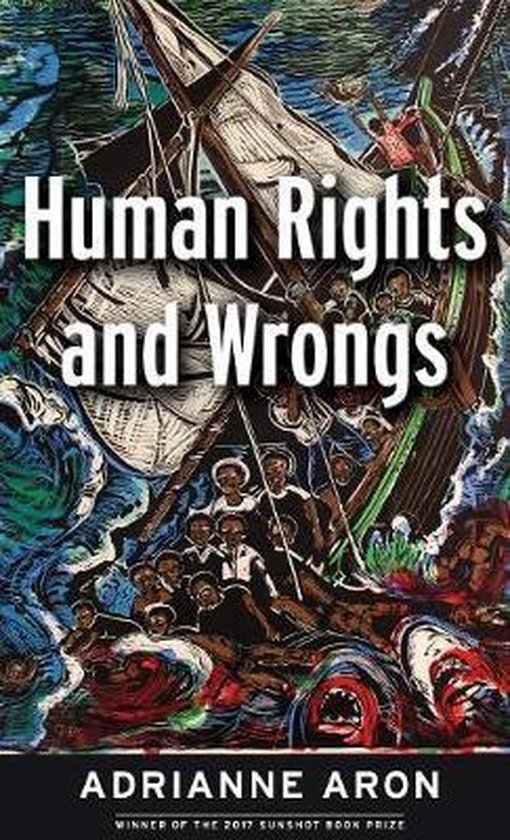 Human Rights and Wrongs - cover