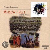 Ethnic Flavour Africa 2