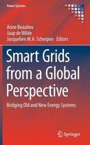 Smart Grids from a Global Perspective