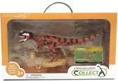 Collecta Prehistorie: Ceratosaurus Deluxe Window Box 27 Cm Bruin