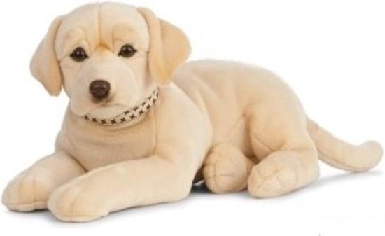 Grote pluche blonde Labrador hond knuffel 60 cm - Honden huisdieren  knuffels -... | bol.com