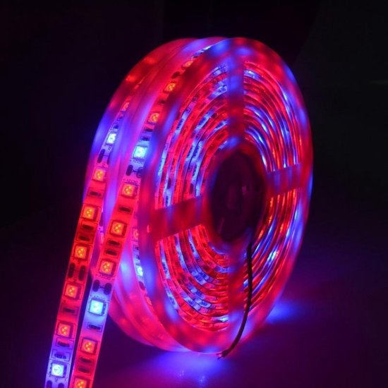 Een zekere Geavanceerde Verduisteren 5m 300 LEDs SMD 5050 volledige spectrum LED strip licht Fitolampy groeien  lichten voor... | bol.com