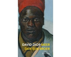 Omslag van Meer dan een broer