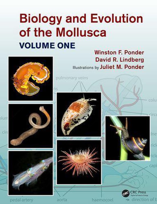 Biology and Evolution of the Mollusca, Volume 1 - cover