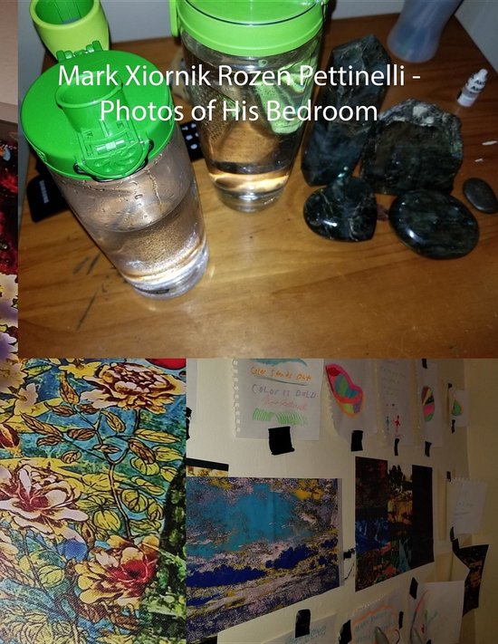 Mark Xiornik Rozen Pettinelli - Photos of His Bedroom - cover