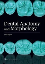Dental Anatomy and Morphology