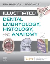 Illustrated Dental Embryology, Histology, and Anatomy E-Book