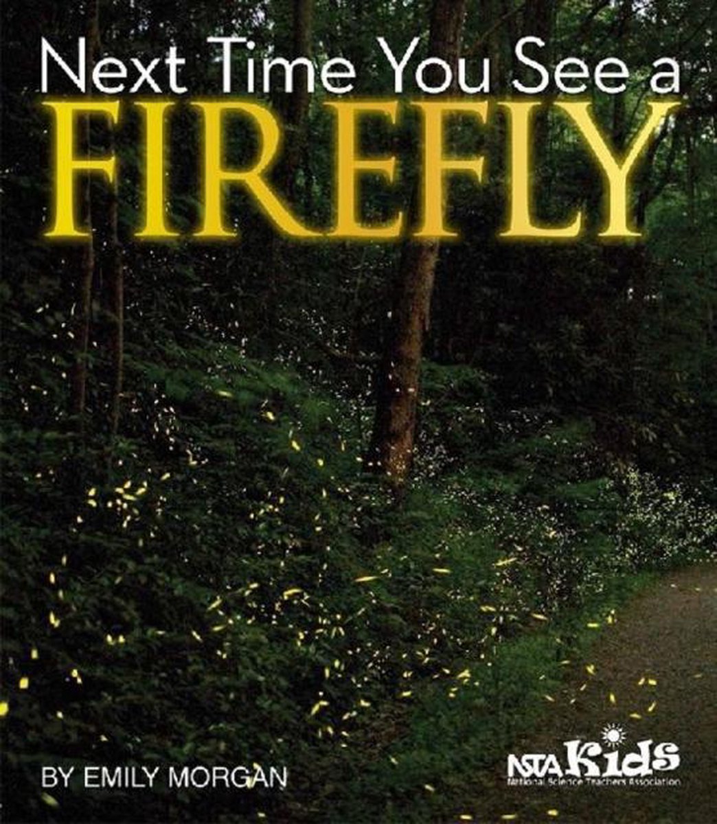 Bol Com Next Time You See A Firefly Emily Morgan Boeken